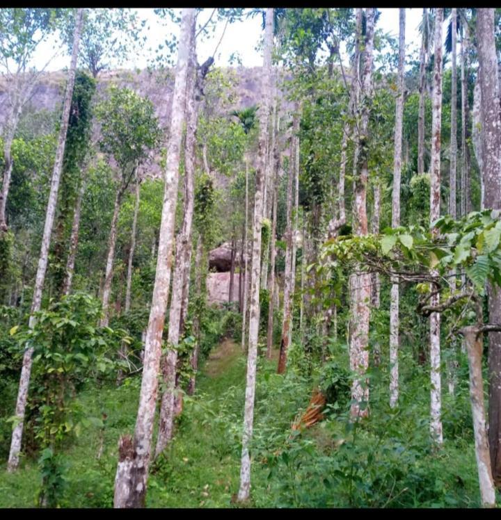 Wayanad Snow Vibes Villa Vythiri Bagian luar foto