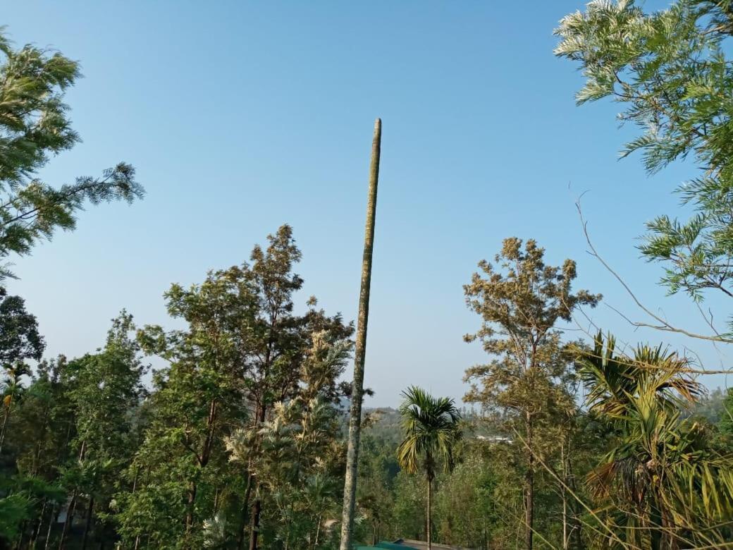 Wayanad Snow Vibes Villa Vythiri Bagian luar foto