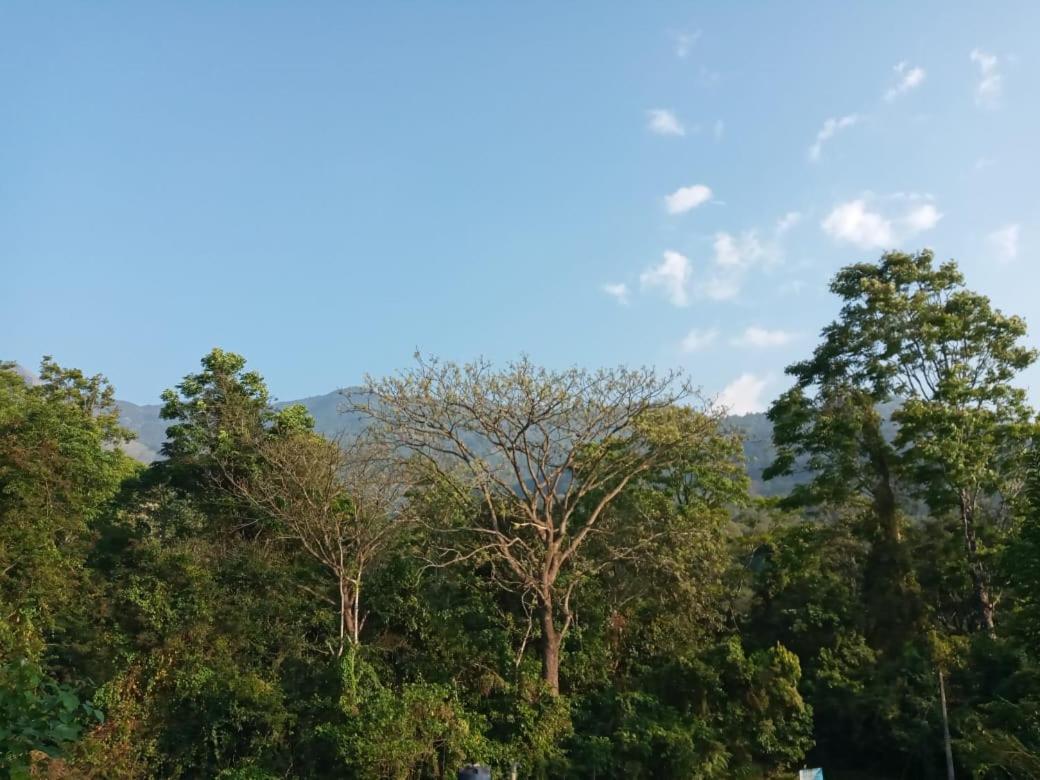 Wayanad Snow Vibes Villa Vythiri Bagian luar foto