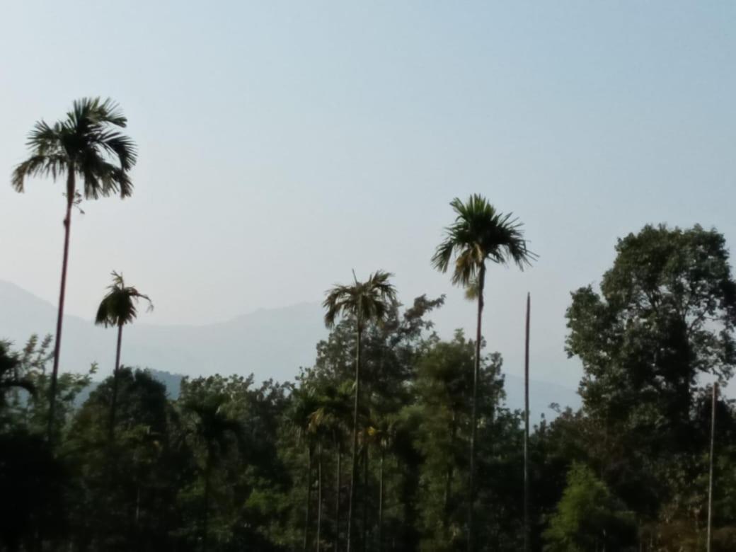 Wayanad Snow Vibes Villa Vythiri Bagian luar foto